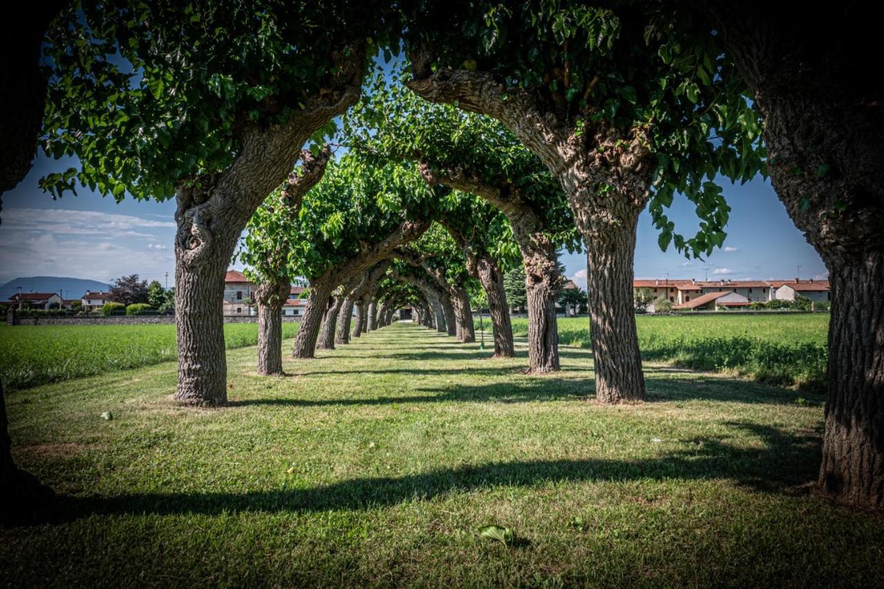 Villa Minini Bed & Breakfast Rive d'Arcano Kültér fotó